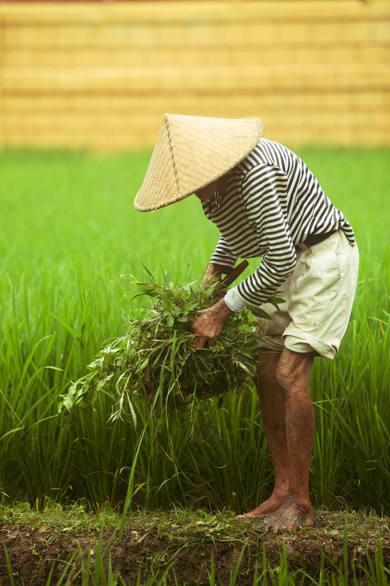 How Did The Chinese Know It Was Time For A Change In China