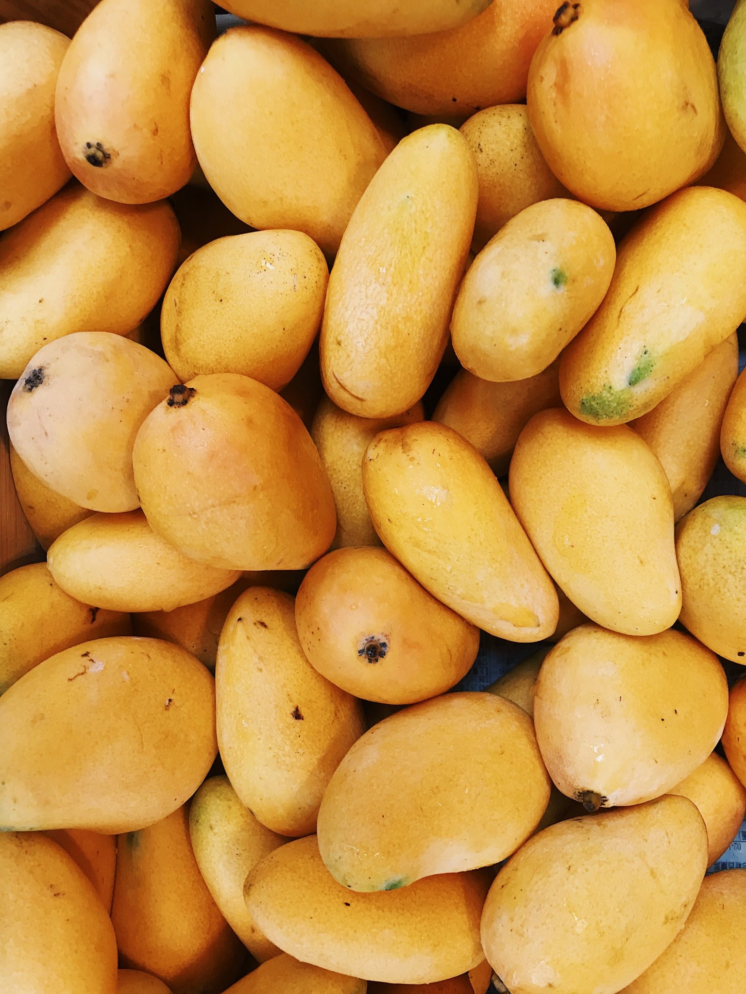 Discover The Perfect Mango Every Time