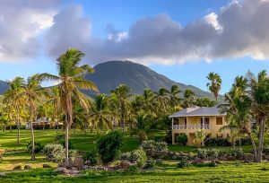 Caribbean-cottages-nestled-amongst-the-palms-at-Nisbet-Plantation-Beach-Resort-and-Hotel (1)
