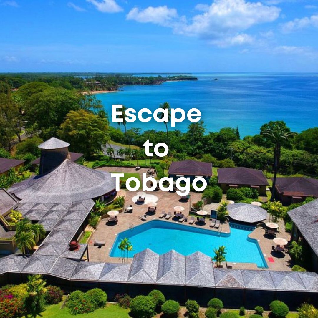 Mount Irvine - Escape to Tobago