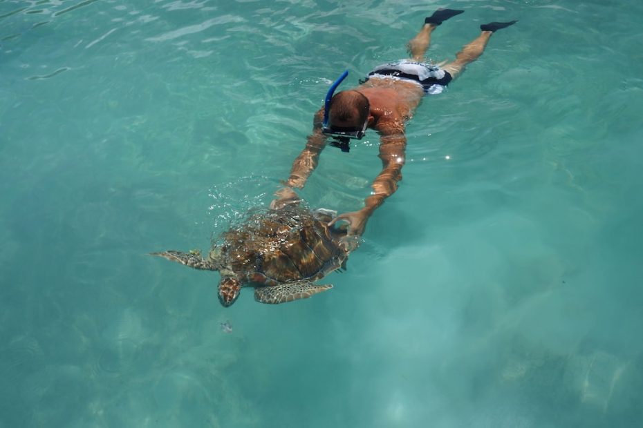 Snorkeling