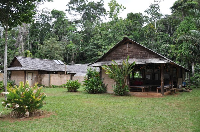 atta-rainforest-lodge 1