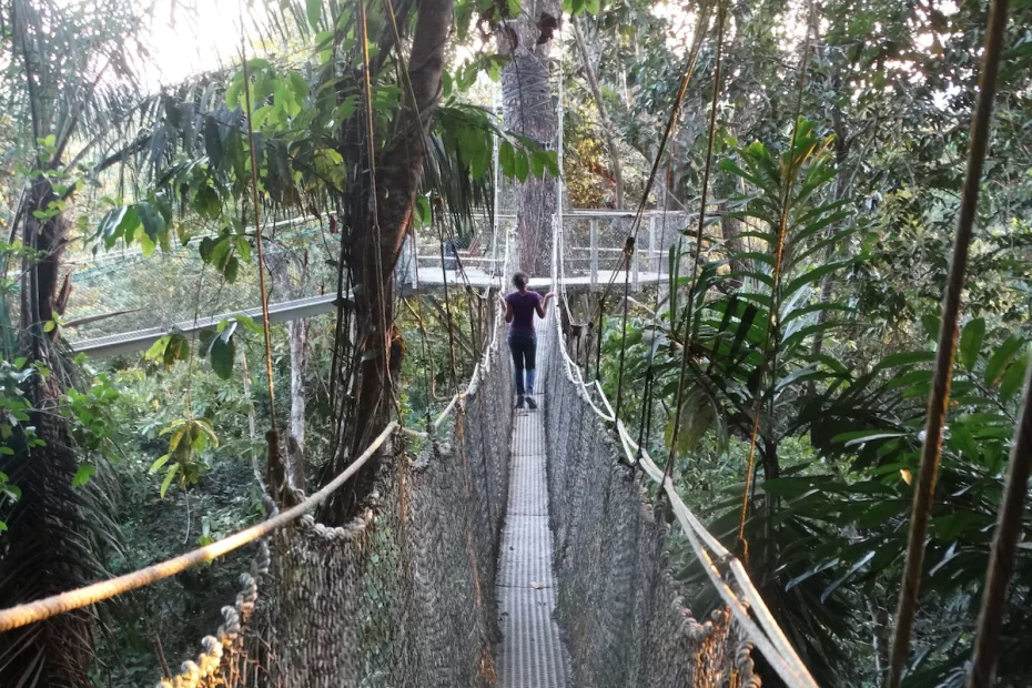 Walkway Bridge