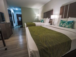 comfort inn room