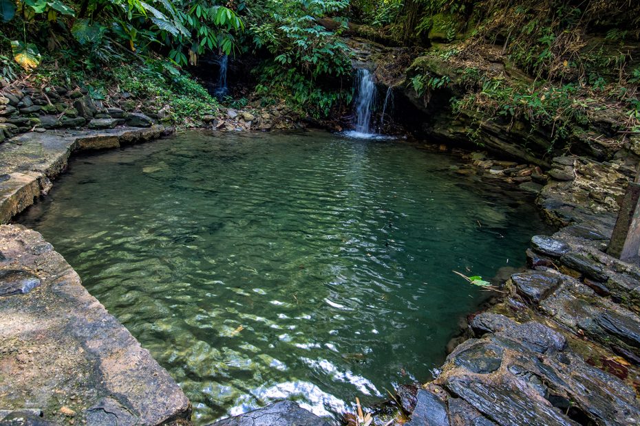 Natural Pool
