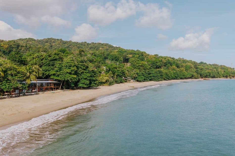 Tropical beach with a sandy shore, palm trees, and small beachfront buildings along a calm, turquoise sea.