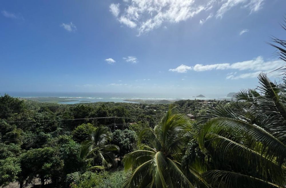 Saint Lucia - Coco View